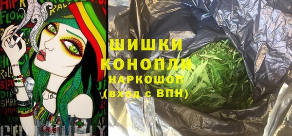 прущие грибы Бронницы