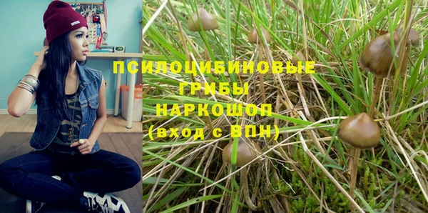 кокаин перу Михайлов