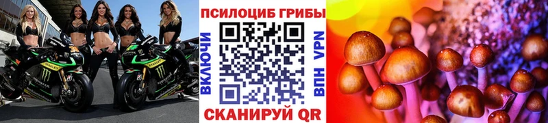 даркнет какой сайт  Княгинино  Галлюциногенные грибы Psilocybe 