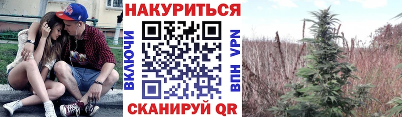 где продают наркотики  Княгинино  Шишки марихуана тримм 